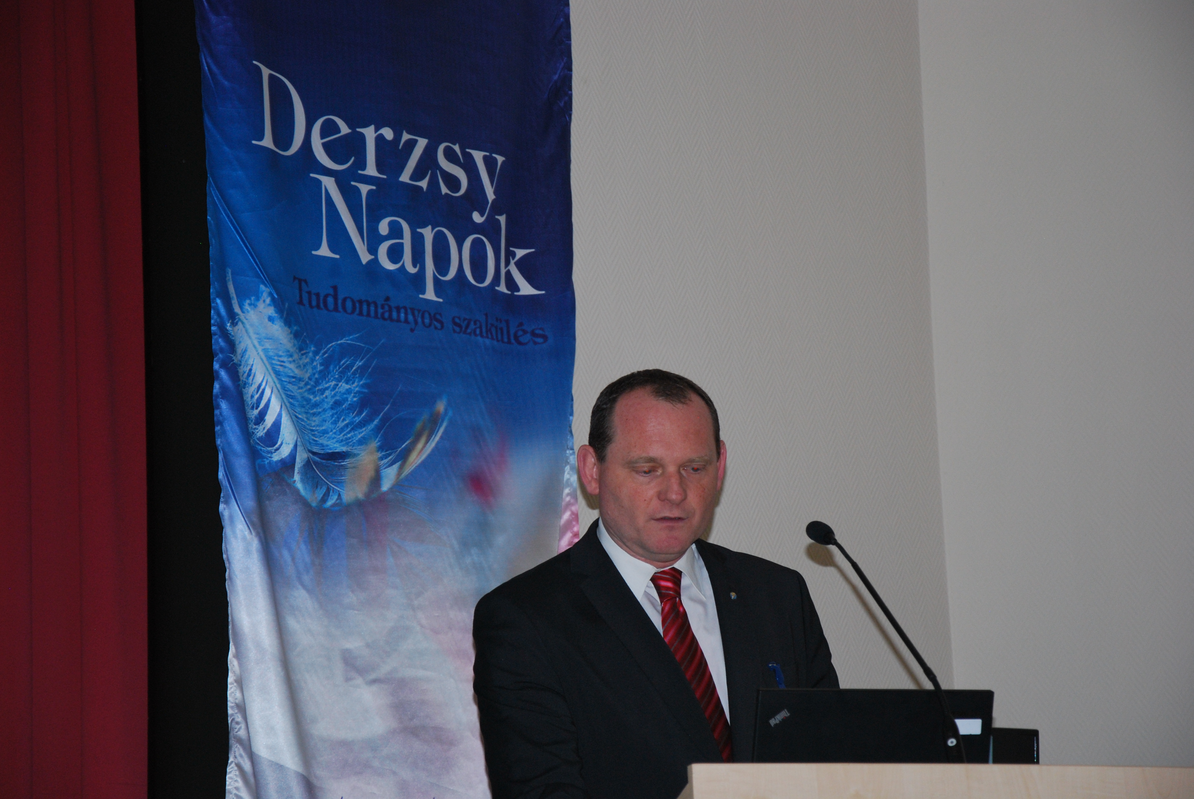 Kulcs&aacute;r G&aacute;bor, N&Eacute;BIH-&Aacute;TI igazgat&oacute;